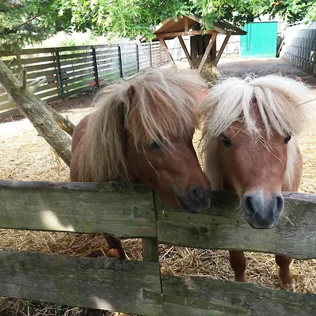 Lejlighed Am Hochrhoener