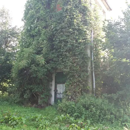 Am Hochrhoener Andenhausen