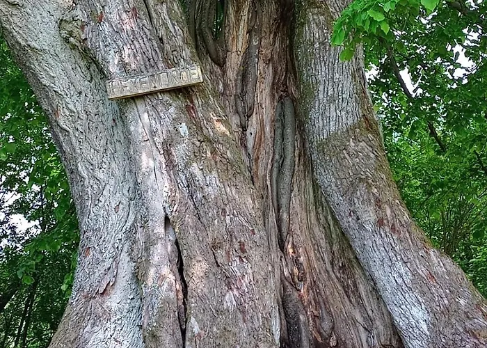 Am Hochrhoener Lejlighed Andenhausen