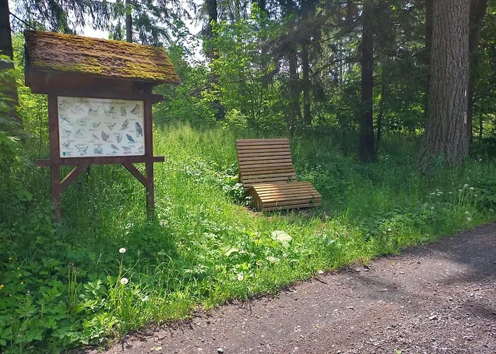 Am Hochrhoener Daire *