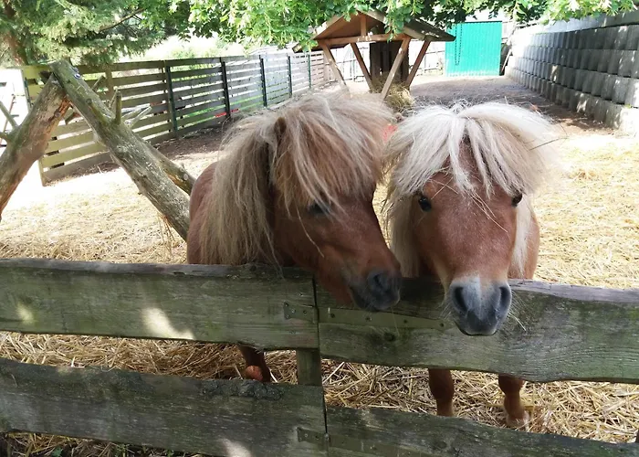 Lejlighed Am Hochrhoener