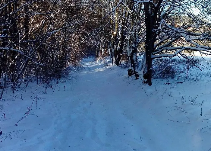 Am Hochrhoener Daire *