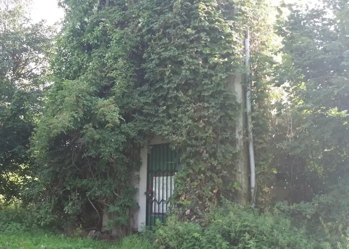 Am Hochrhoener Andenhausen